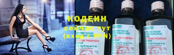 прущие грибы Верхний Тагил