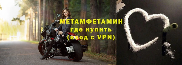прущие грибы Верхний Тагил