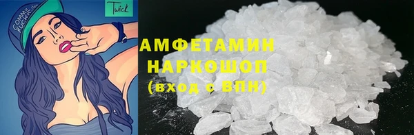прущие грибы Верхний Тагил