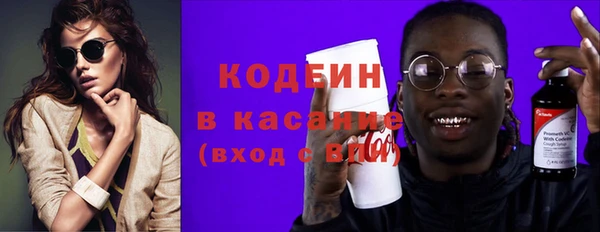 хмурый Верея