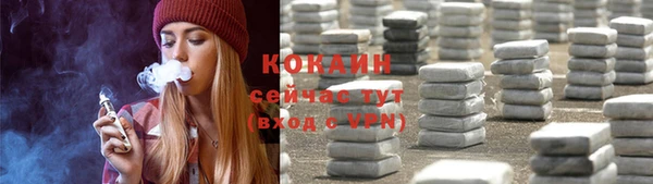 хмурый Верея