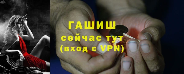 хмурый Верея