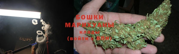хмурый Верея